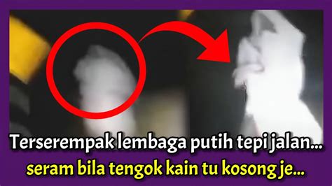 Terserempak Lembaga Putih Dekat Jalan Sungai Ular Kulim Youtube