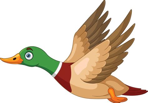 Cute Dibujos Animados De Pato Volando Sobre Fondo Blanco 15219847