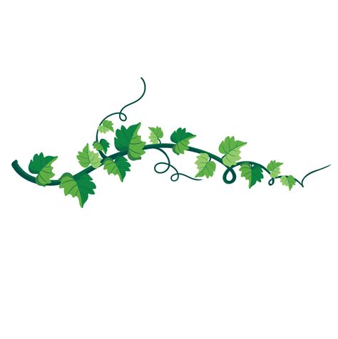 Vines Green Plants Vine Plant Green Plants Png Transparent Clipart