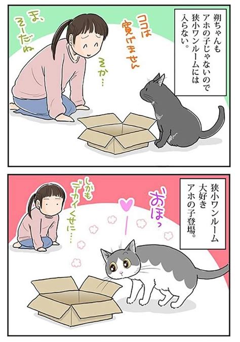 ＜画像320 644＞【ネコ漫画】個性あふれる3匹の猫とのドタバタな日常を描いたコミックエッセイを一気読み！｜ウォーカープラス