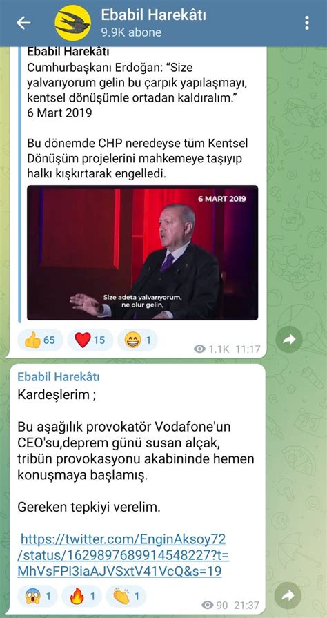 Meral Danyıldız on Twitter Soylu ya bağlı olduğu belirtilen troll