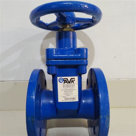 Jual Resilient Avk Gate Valve Dn Pn Inch Shopee Indonesia