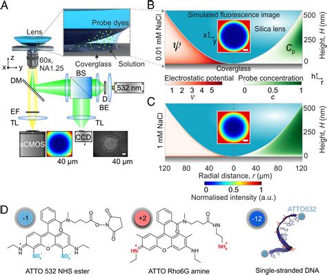 Wide Field Optical Imaging Of Electrical Charge And Chemical Reactions