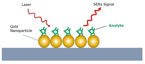 How SERS Differs from Raman Spectroscopy