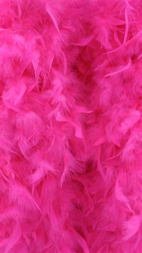 Pink Feathers Wallpapers Top Free Pink Feathers Backgrounds Wallpaperaccess