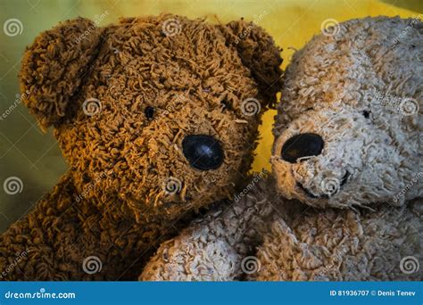 Two Teddy Bears Next To Each Other Stock Image Image Of Happy