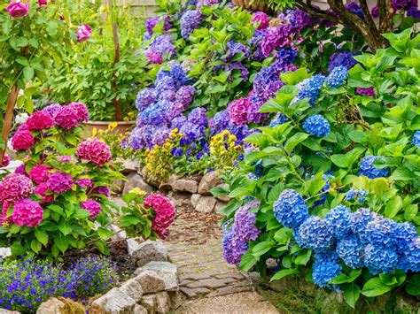Making Soil Acidic: Tips For How To Make Soil Acidic