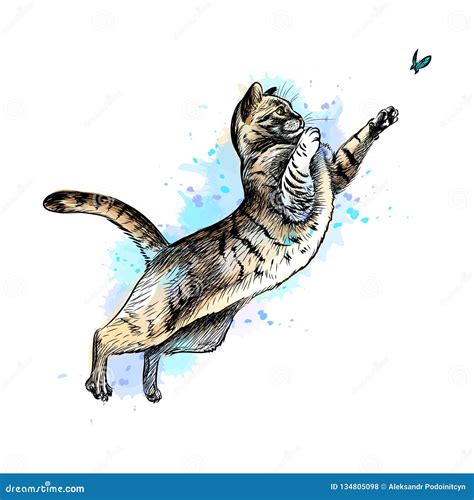 Cat Playing With A Butterfly From A Splash Of Watercolor Stock Vector