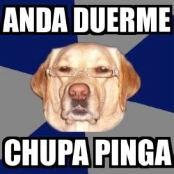 Meme Perro Racista Anda Duerme Chupa Pinga 23810829