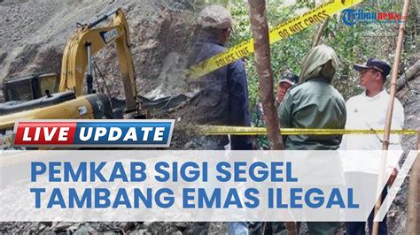 Detik Detik Pemkab Sigi Tutup Total Tambang Emas Ilegal Sidondo