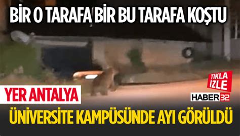 Renciler A K Na D Nd Ay Bir O Tarafa Bir Bu Tarafa Ko Tu