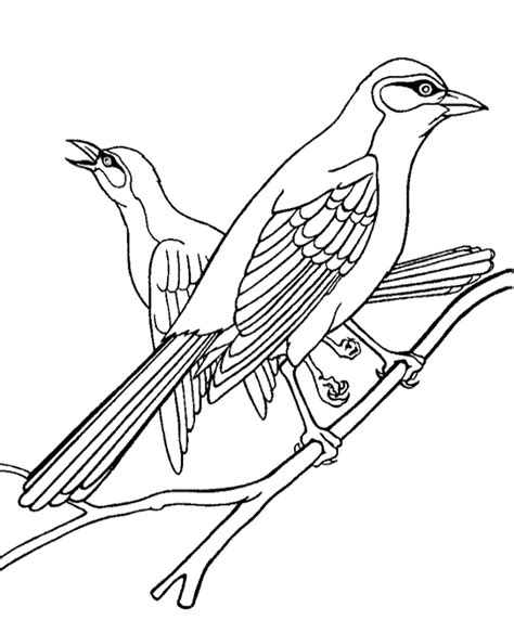 Two Birds On A Branch Coloring Page