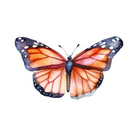 Clipart Monarch Butterfly