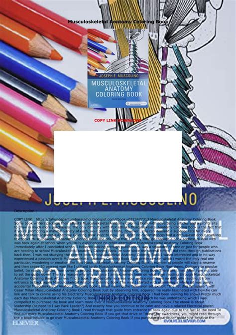 Full Download Pdf Musculoskeletal Anatomy Coloring Book