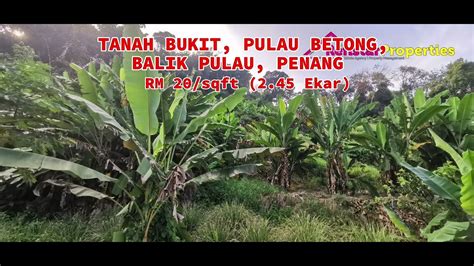 Land For Sale At Pulau Betong Balik Pulau Penang YouTube