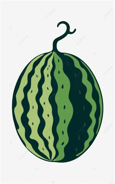 Large Whole Watermelon Vector Watermelon Palestine Fruit Png And