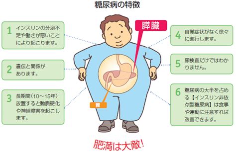 糖尿病の特徴 e人間ドックいい人間ドックを選ぼう