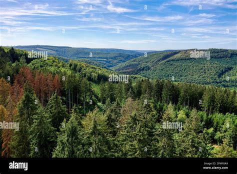 France, Ardennes, Ardennes Regional Nature Park, Monthermé, Ardennes forest (aerial view Stock ...