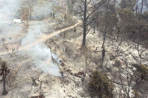 Anuncian Plan Para Restaurar El Jardín Botánico De Viña Del Mar Tras Incendios Meganoticias