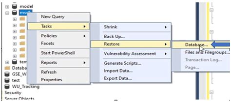 Recuperación de base de datos de MSDB de Microsoft SQL Server Dell México