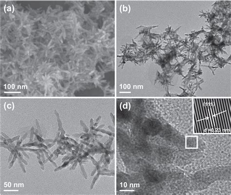 A SEM B C And D TEM And HRTEM Images Of PdCuBP NTAs The