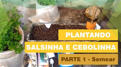 Como Plantar Salsinha E Cebolinha Parte 01 Semear Youtube