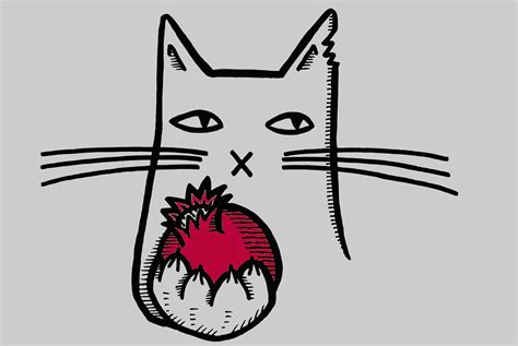 Bad Cat Pomegranate – Marcy Very Much