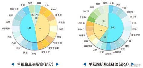 Nature子刊 Snatac Seq 揭示斑马鱼胚胎早期发育过程中的单核染色质景观snatac Seq是什么 Csdn博客