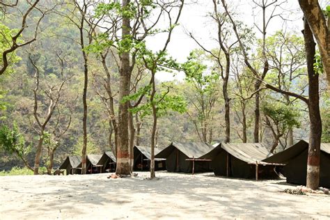 Camping in Rishikesh - Adventure Guru