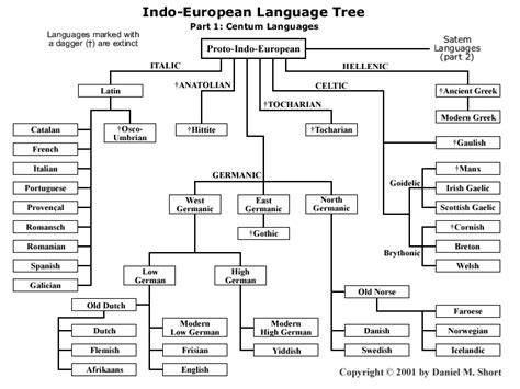 Family Tree Indo European Languages Map | Video Bokep Ngentot