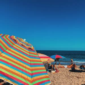 Embrace the Sun and Sand: Saugatuck's Top Trio of Beaches for Your Unforgettable Summer Getaway ...