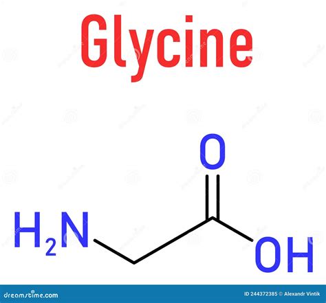 Glycine Gly G Amino Acid Molecule Skeletal Formula Stock Vector