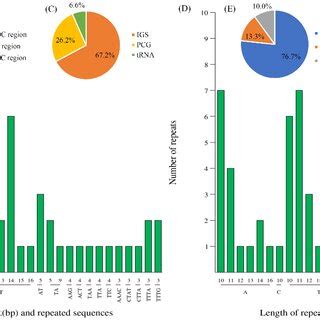 Simple Sequence Repeat SSR Types Distribution And Presence In PMA