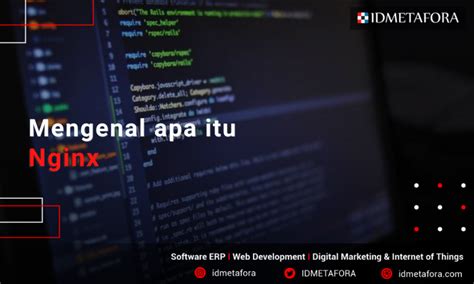 Mengenal Apa Itu Nginx Fungsi Dan Cara Kerjanya Yang Termudah 172386