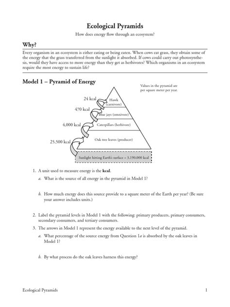 worksheet. Ecological Pyramid Worksheet. Grass Fedjp Worksheet Study Site