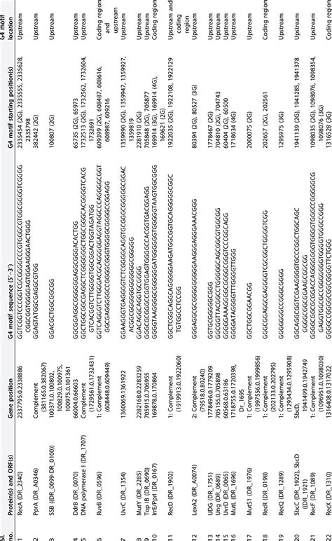 Structures and positions of G4 DNA motifs present upstream of DNA ... 