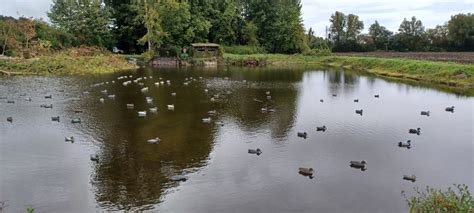 Marais et Huttes à vendre