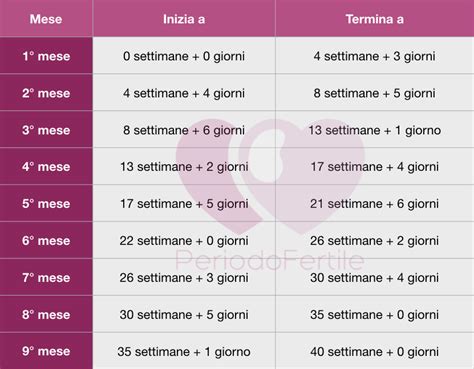 Come Calcolare La Corrispondenza Tra Mesi E Settimane Di Gravidanza