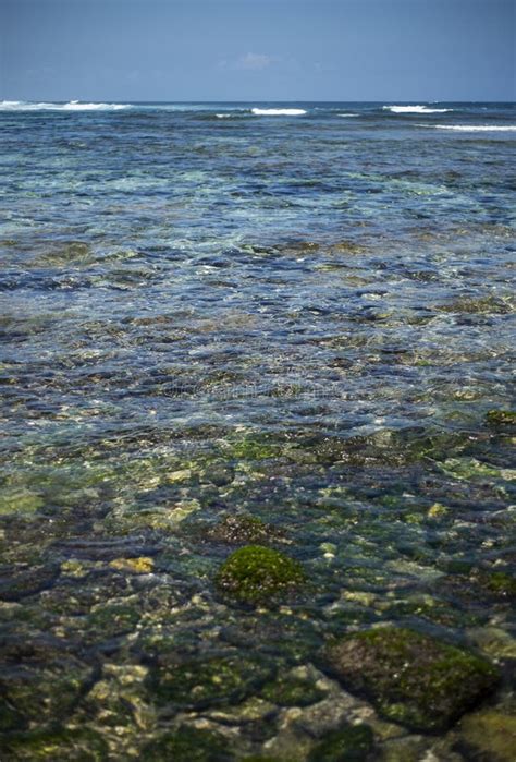 Green Bowl Beach In Bali Indonesia Stock Photo Image Of Blue