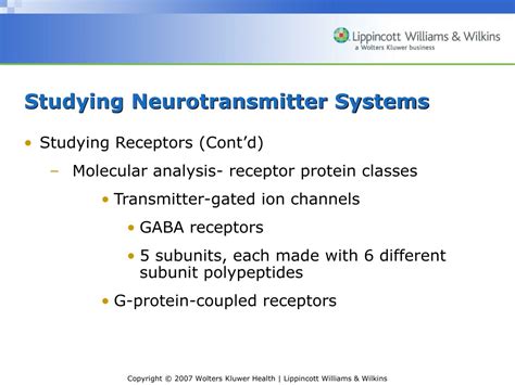 Ppt Neuroscience Exploring The Brain 3e Powerpoint Presentation