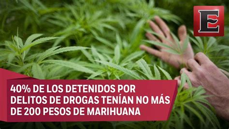 ¿cómo Sería La Legalización De La Marihuana En México Youtube