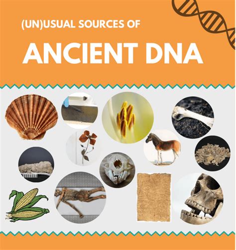 (Un)usual sources of ancient DNA