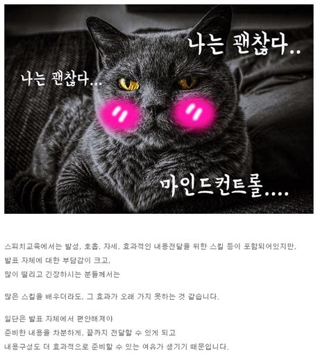 무대 공포증 극복을 위한 심리훈련 92 참가자 갤러리 다이룸센터