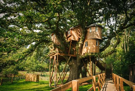 Cool Treehouse Design Ideas To Build 44 Pictures