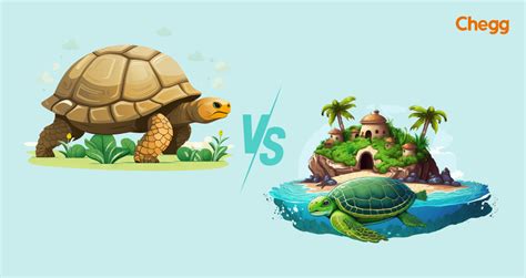 Difference Between Turtle and Tortoise: 5 Fascinating Facts