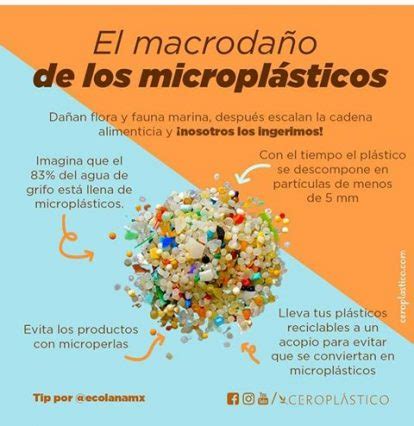 Microplasticos Agua Org Mx