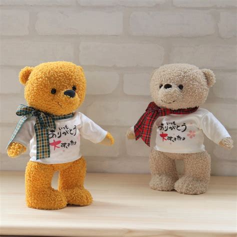 Japanese Message Teddy Bear Teddybear Life