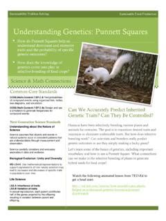 Understanding Genetics Punnett Squares Understanding Genetics