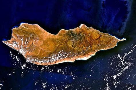 5 Fakta Unik Pulau Socotra Daratan Terisolasi Di Lepas Pantai Yaman