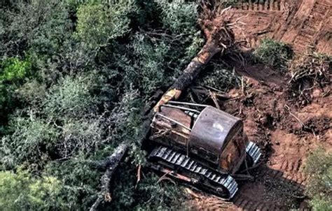 Hombre muere aplastado por un árbol mientras dormía eju tv